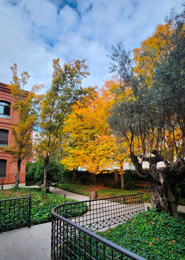 Ballesol Príncipe de Vergara 6.jpg