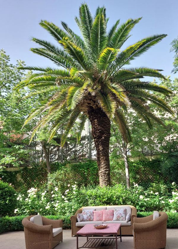 Ballesol Príncipe de Vergara 5.jpg