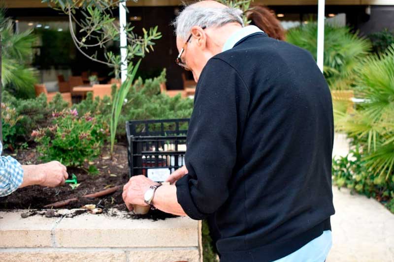 Ballesol Almogávares 7.jpg